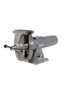 5.5-in Apprentice Multi-Purpose Bench Vise (WVA5.5MP)